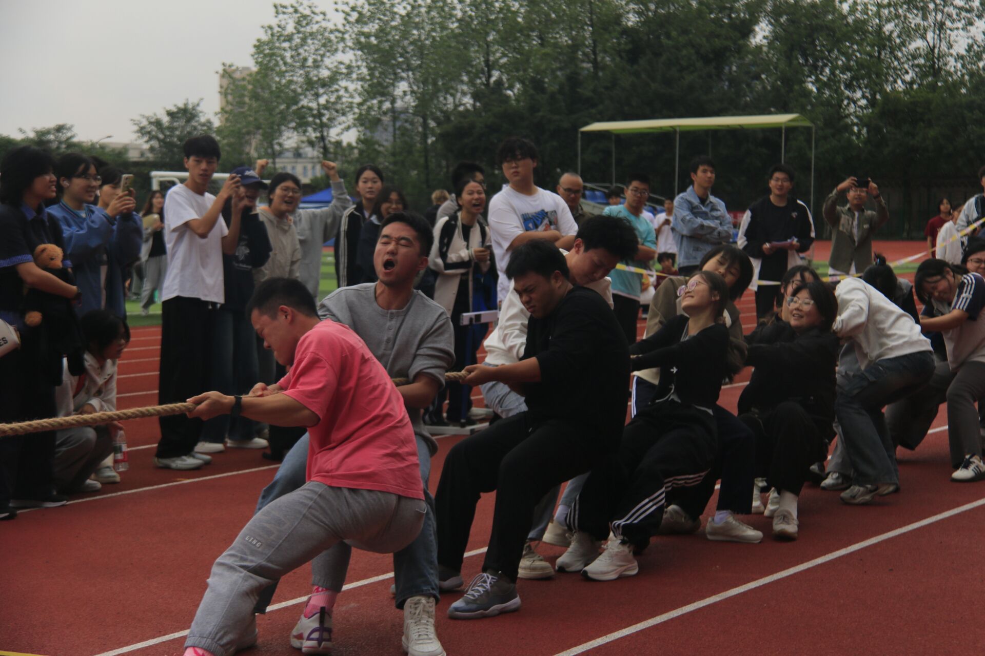 Image_1760764914407